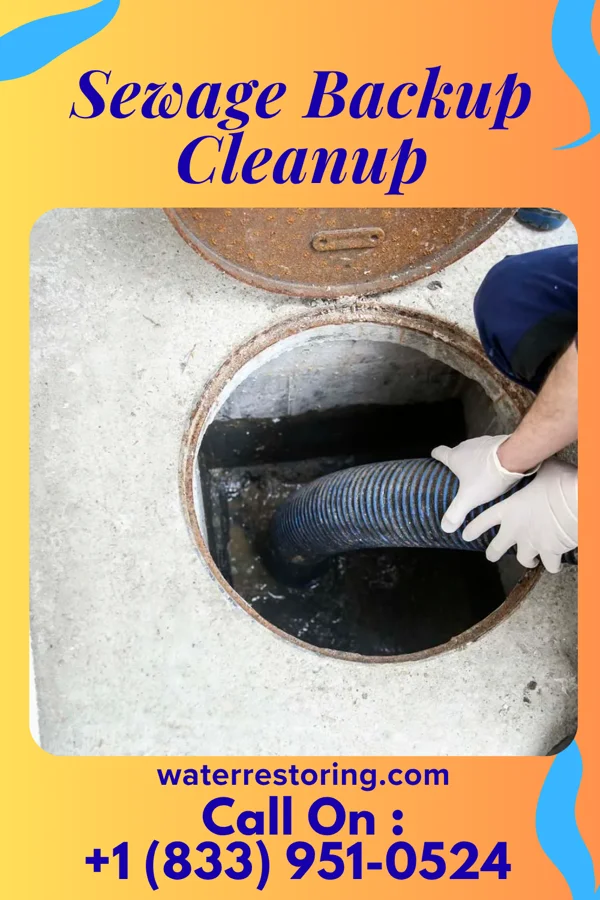 Sewage Backup Cleanup in Newark, OH